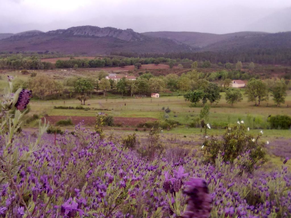 Las Lucias, Experiencias De Ecoturismo Navatrasierra Exteriér fotografie
